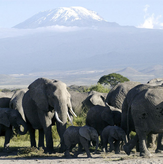 East Africa